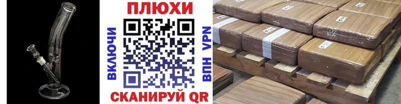 Купить где Гусев Гашиш индика сатива