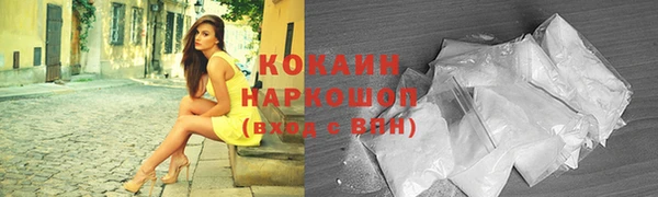 стаф Каменногорск