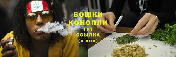 стаф Каменногорск