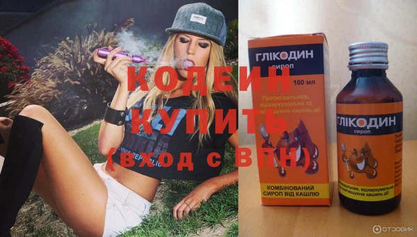 стаф Каменногорск