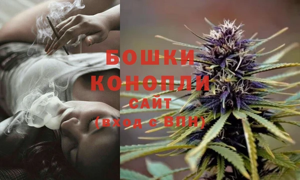 стаф Каменногорск