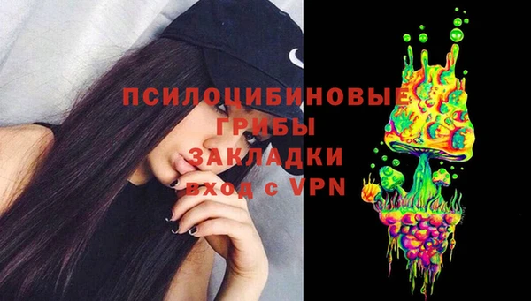 стаф Каменногорск