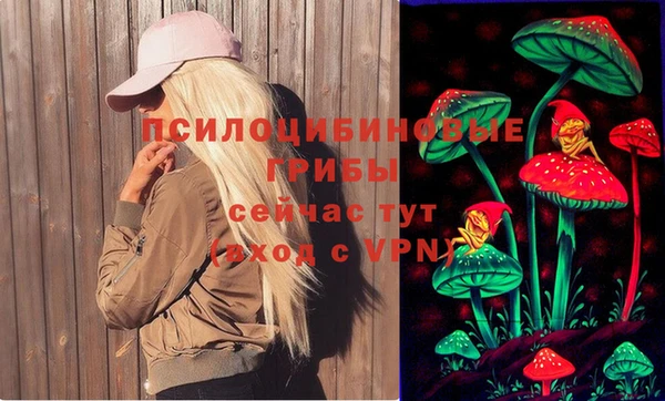 стаф Каменногорск