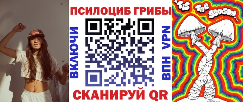 Галлюциногенные грибы Psilocybe  Купить закладки  Гусев 