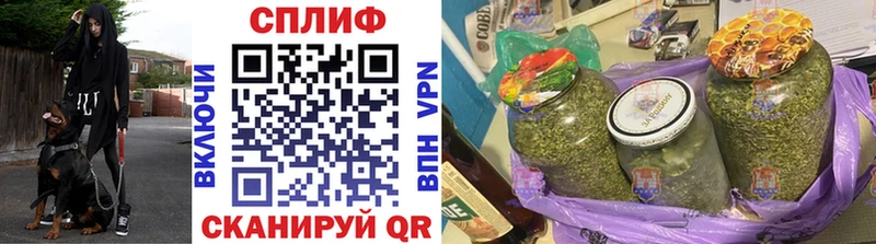 Купить закладки  Гусев  Шишки марихуана THC 21% 